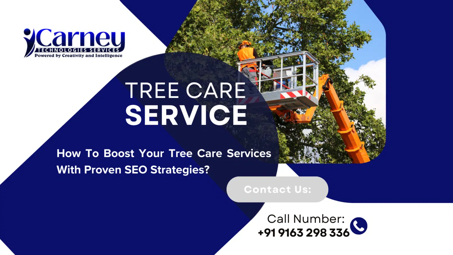 Read more about the article How To Boost Your Tree Care Services With Proven SEO Strategies?