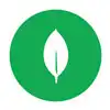 MongoDB-logo